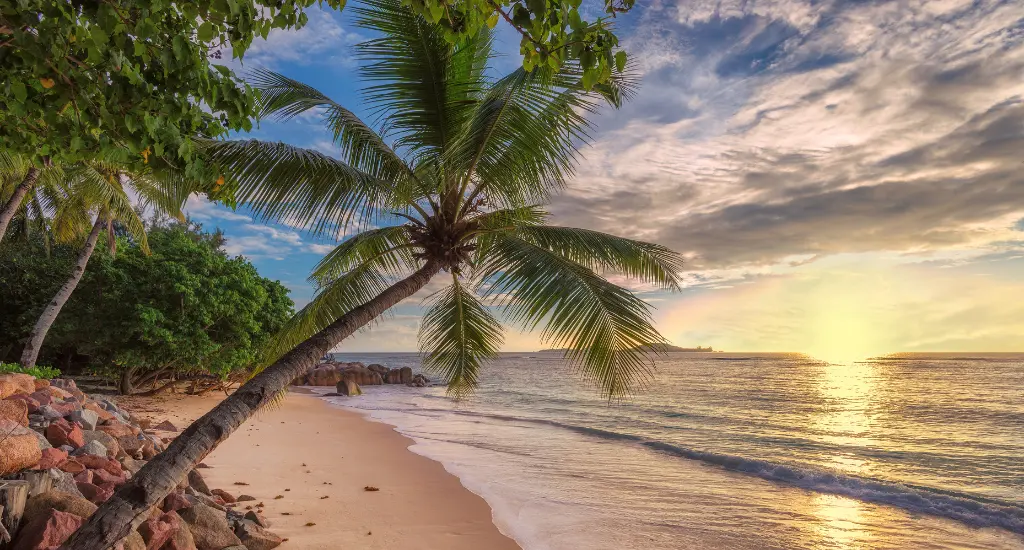 Thorne Travel Offer