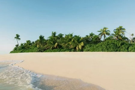 Cruise Offer (5)