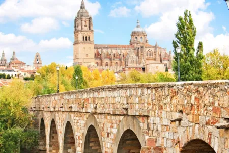 Douro, Porto & Salamanca River Cruise (2)