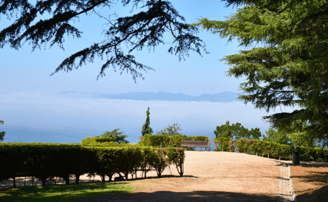 Cruising_With_Thorne_Travel_Offers_2