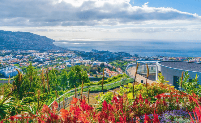 Cruising_With_Thorne_Travel_Offers_4